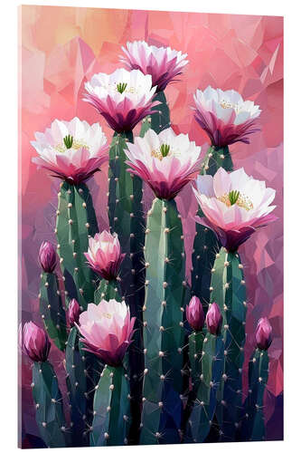 Acrylic print Pink cactus flowers