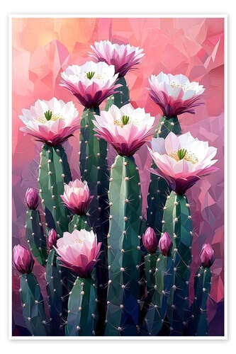 Poster Pink cactus flowers