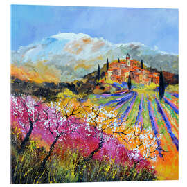 Acrylglasbild Frühling in der Provence - Pol Ledent