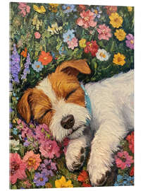 Akrylglastavla Sleeping dog in spring field