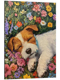 Quadro em alumínio Sleeping dog in spring field