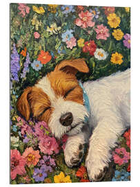 Quadro em plexi-alumínio Sleeping dog in spring field