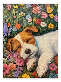 Obraz Sleeping dog in spring field - DejaReve