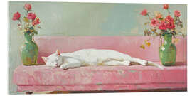 Acrylic print White Cat on a Pink Sofa - DejaReve