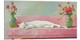 Gallery Print Weiße Katze auf einem rosa Sofa