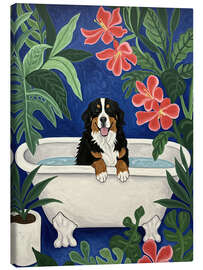 Obraz na płótnie Bernese Mountain dog in bathtub - Felipe Hora