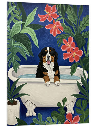 Foam board print Bernese Mountain dog in bathtub