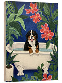 Holzbild Berner Sennenhund in der Badewanne - Felipe Hora
