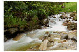 Akrylglastavla Rushing torrent - Reiner Würz