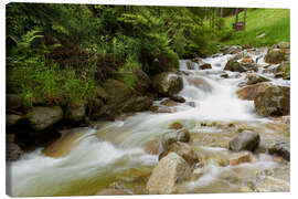 Canvas-taulu Rushing torrent - Reiner Würz