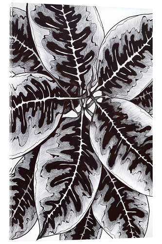 Obraz na szkle akrylowym Ficus leaves