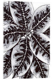 Obraz na szkle akrylowym Ficus leaves - Maria Tuzhilkina