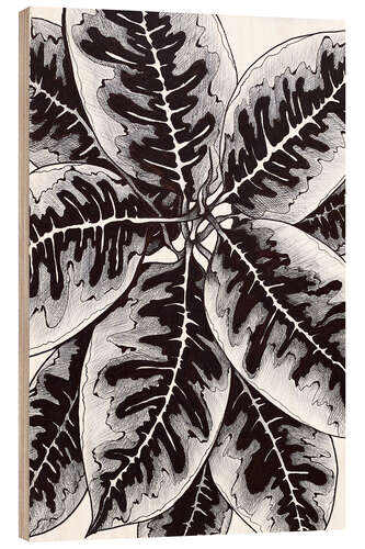 Obraz na drewnie Ficus leaves