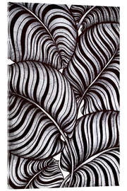 Obraz na szkle akrylowym Zebra Leaves - Maria Tuzhilkina