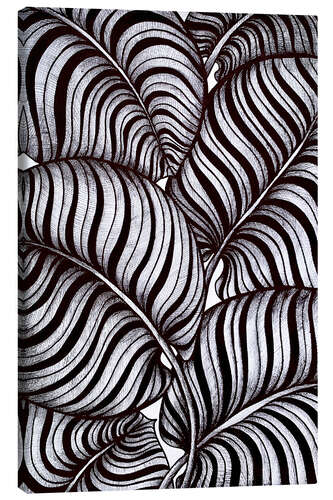 Canvas print Zebra Leaves