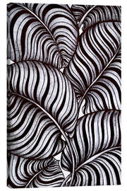 Leinwandbild Zebra-Blätter - Maria Tuzhilkina