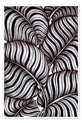 Poster Zebra-Blätter