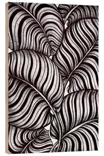 Obraz na drewnie Zebra Leaves