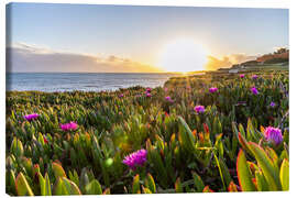 Canvas print Sunset in the Algarve, with blooming flowers - Jan Wehnert