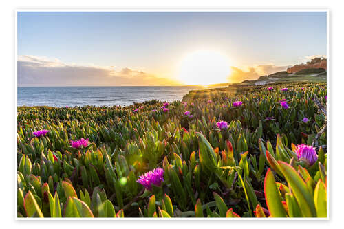 Poster Sonnenuntergang an der Algarve, mit blühenden Blumen