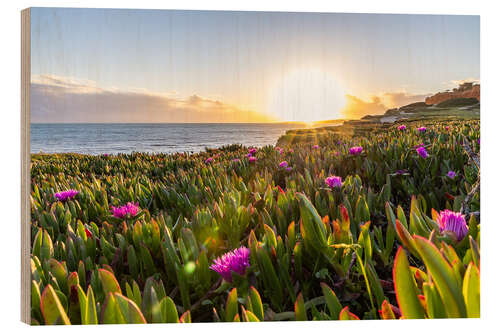 Tableau en bois Sunset in the Algarve, with blooming flowers