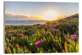 Tableau en bois Sunset in the Algarve, with blooming flowers - Jan Wehnert