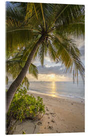 Acrylglas print Sunset on the beach, Koh Samui, Thailand - Jan Christopher Becke