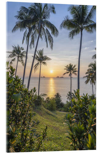Acrylic print Sunset on the palm beach on Koh Samui, Thailand