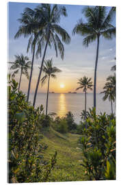 Acrylic print Sunset on the palm beach on Koh Samui, Thailand - Jan Christopher Becke