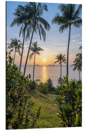 Aluminium print Sunset on the palm beach on Koh Samui, Thailand - Jan Christopher Becke