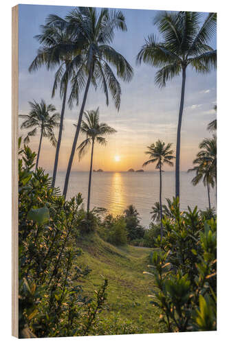 Obraz na drewnie Sunset on the palm beach on Koh Samui, Thailand