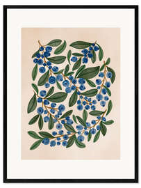 Framed art print Blue Berry bunch - Nikita Jariwala