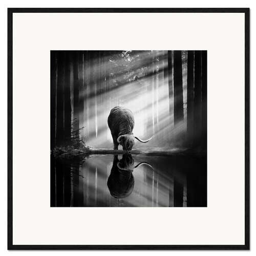 Framed art print Scottish Highlander in a forest with sunrays