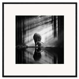 Framed art print Scottish Highlander in a forest with sunrays - Martin Podt