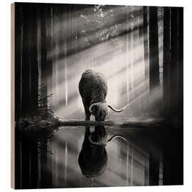 Wood print Scottish Highlander in a forest with sunrays - Martin Podt