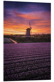 Tableau en verre acrylique Dutch windmill with spring flowers at sunrise - Martin Podt