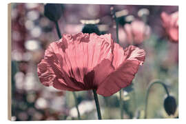 Tableau en bois Pink poppy - Atteloi