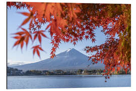 Quadro em alumínio Red autumn leaves at Lake Kawaguchi with Mount Fuji - Jan Christopher Becke
