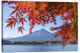 Canvas print Red autumn leaves at Lake Kawaguchi with Mount Fuji - Jan Christopher Becke