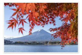 Veggbilde Red autumn leaves at Lake Kawaguchi with Mount Fuji - Jan Christopher Becke