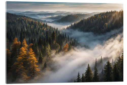 Obraz na szkle akrylowym Morning Light