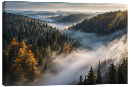 Stampa su tela Morning Light