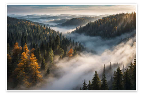 Plakat Morning Light