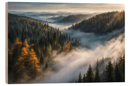 Cuadro de madera Morning Light