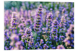 Hartschaumbild Lavendel