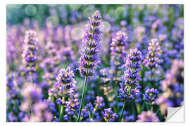 Sticker mural Lavender - Mango Art