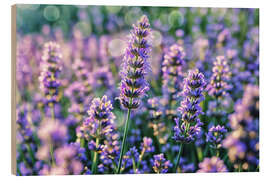 Hout print Lavender
