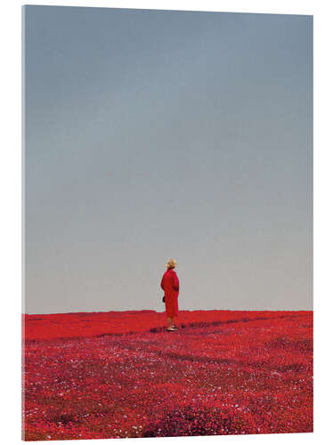 Acrylic print Everything was red