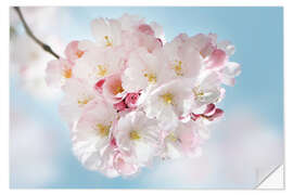 Wandsticker Blühende Kirschblüten