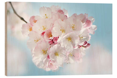Cuadro de madera Blooming cherry blossoms